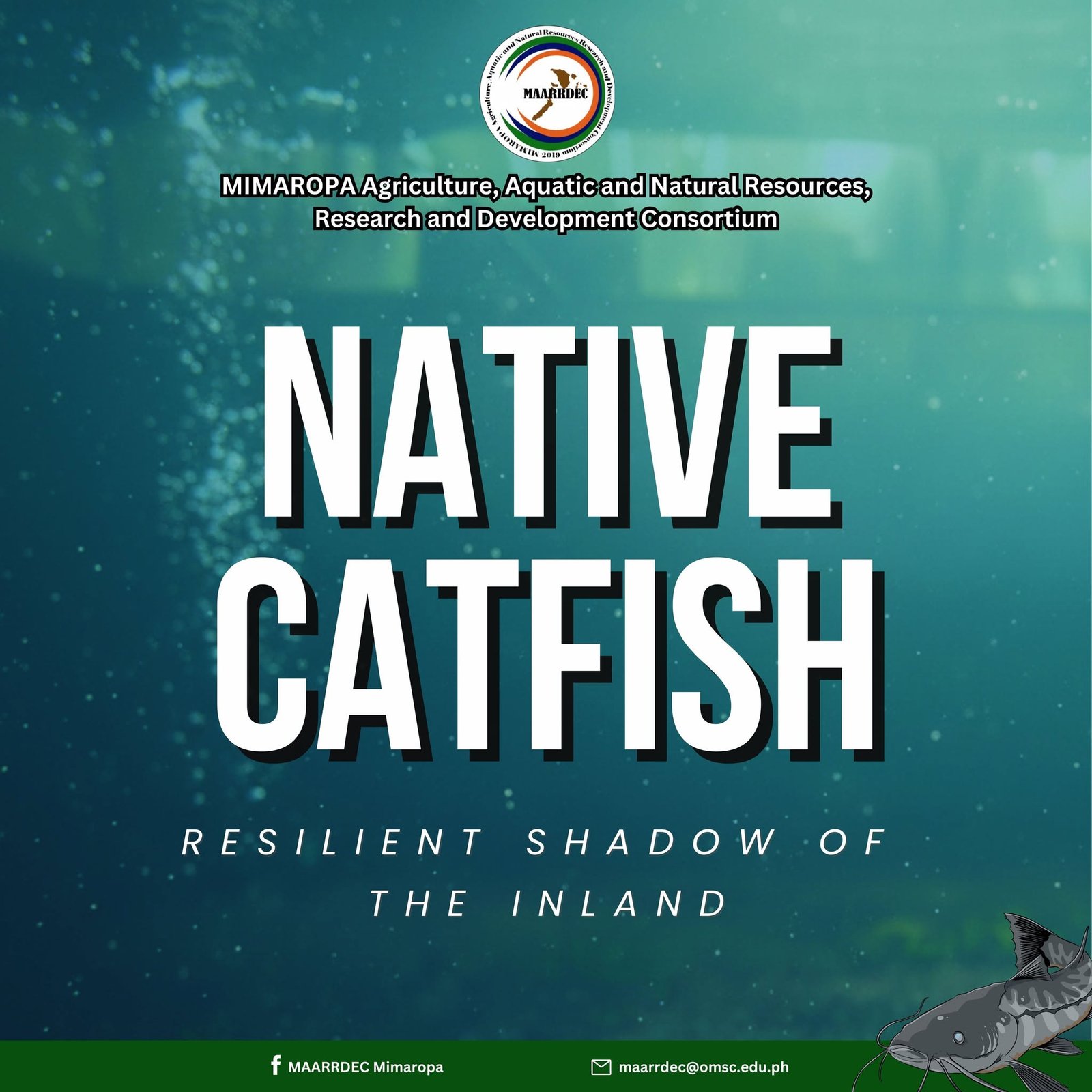 "S&T Community-based for Inclusive Development (STC4iD) on Livelihood Improvement of Mangyan Communities in Mindoro through Science and Technology (S&T) Interventions"